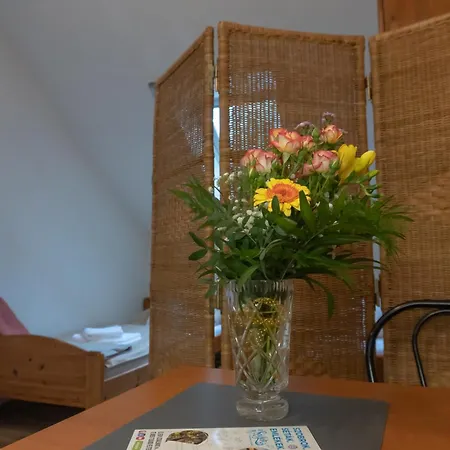 Rent A Scooter Vendeghaz Homestay Zamardi